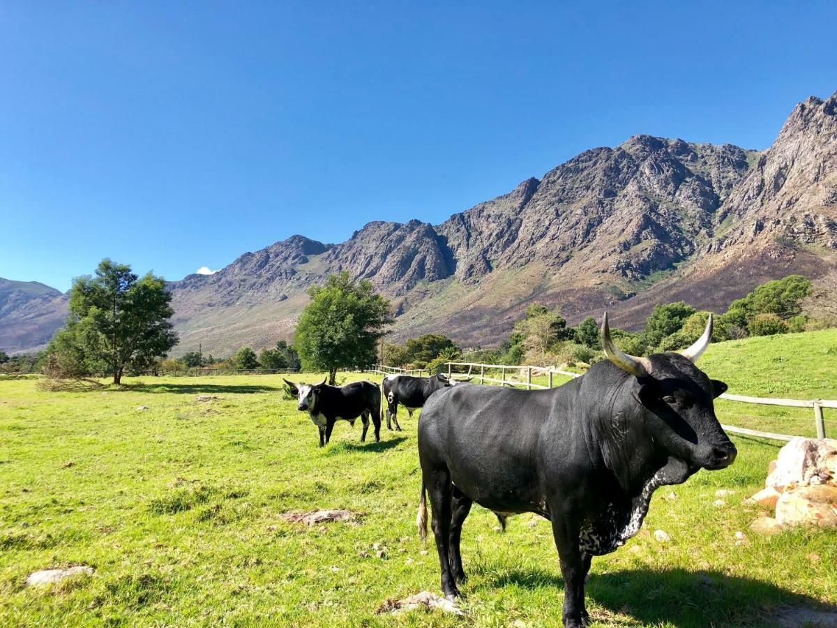 The Barn In Franschoek Konuk evi Franschhoek Dış mekan fotoğraf